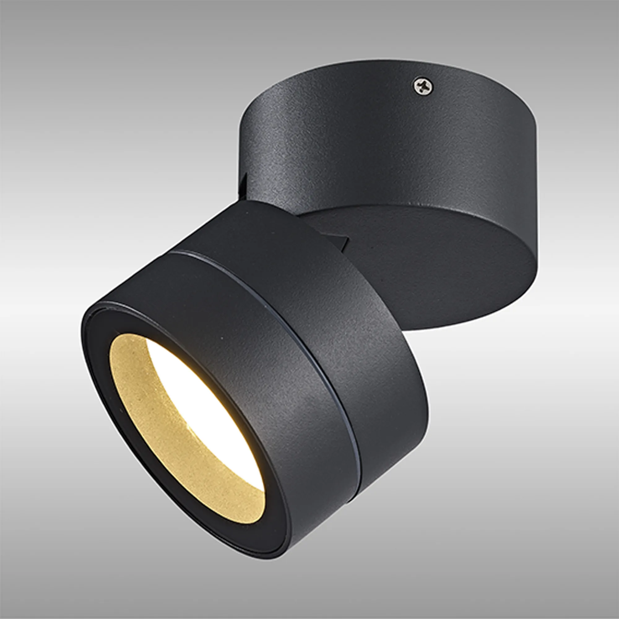 Saler Dark Grey Exterior Lights Mantra Fusion Flush Fittings